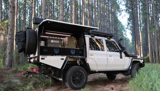 Mode canopy open bush